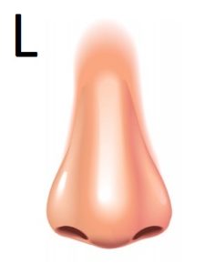 L nose